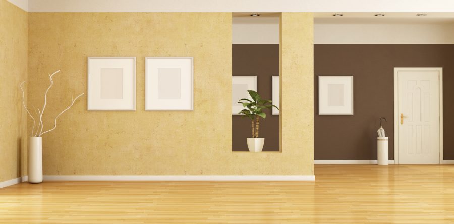 Phasellus hendrerit dapibus libero