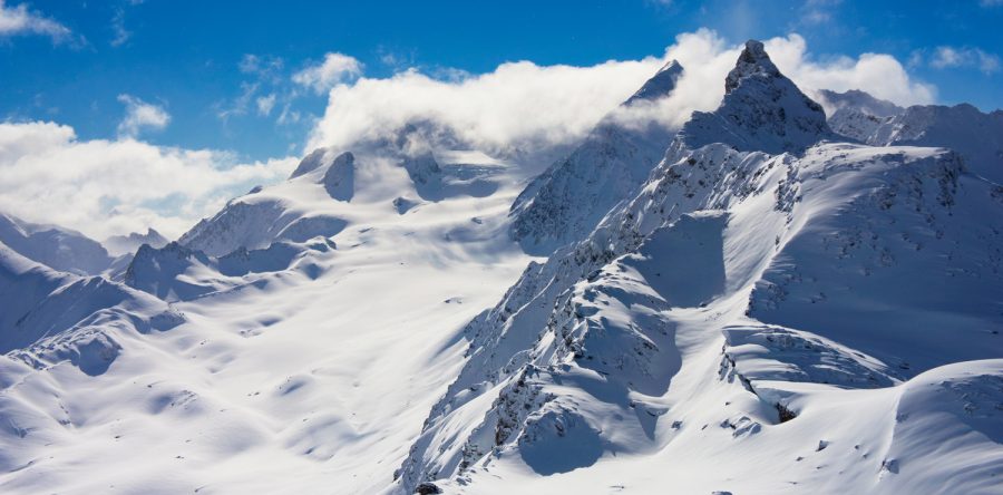 Nullam convallis justo a vestibulum